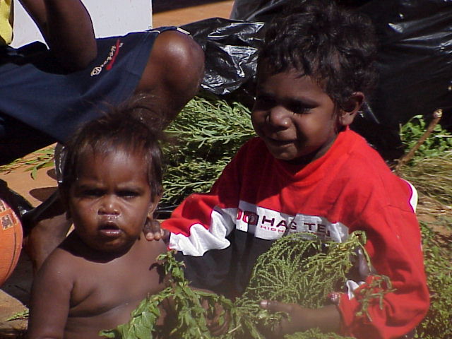 Bush medicine is used widely with babies and young children