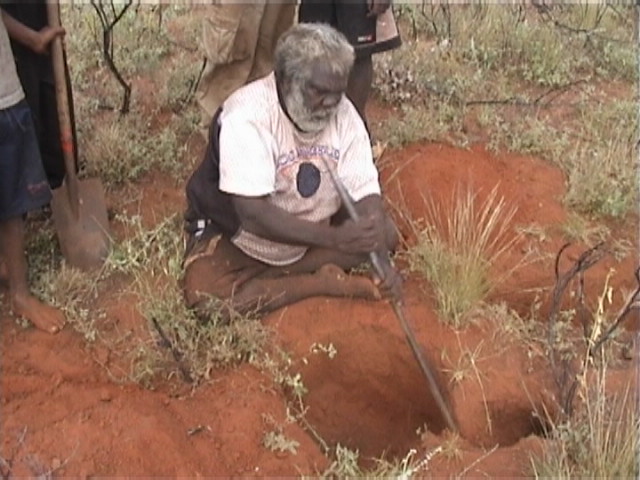 Looking in a bilby hole for snakes